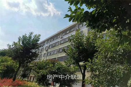 宝地城市广场2室2厅1卫55万87m2中档装修出售
